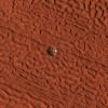This enhanced-color image shows a 45-meter-diameter crater on the surface of Mars, appearing as a glistening sphere on a rusty red background. Glistening material is interpreted as water ice slowly subliming. Photo credit: NASA/JPL-Caltech/University of Arizona