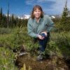 Diane McKnight kneeling by a streambed in the sub alpine