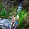 Whitewater on a mountain stream