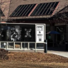 Bird, bug, and botanical murals on glass outside the SEEC building