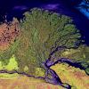 Colorful satellite image of the Lena River delta flowing into the Arctic ocean