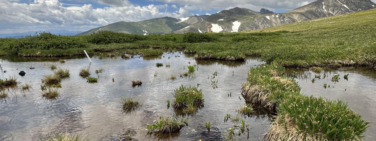 Ponded water on the tundra of Niwot Ridge Colorado, with peaks and dramatic clouds behind. Photo: Scott Taylor