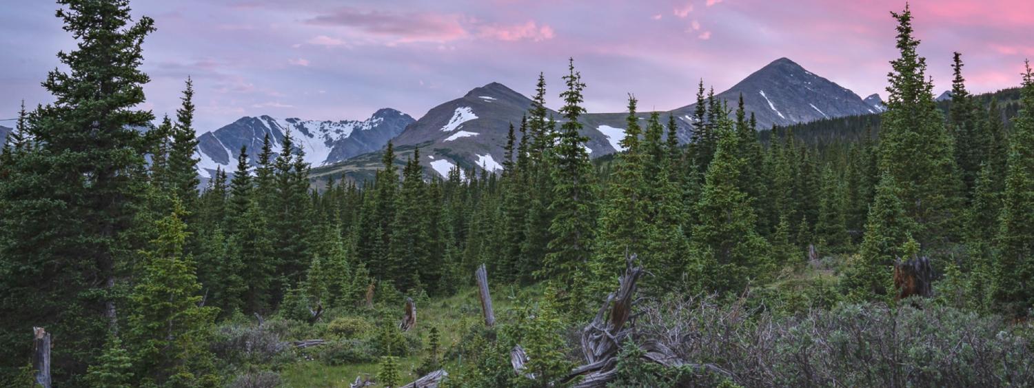 Purple and pink sunset clouds behind the mountains and subalpine forest of Niwot Ridge, Colorado. Photo: Bill Bowman