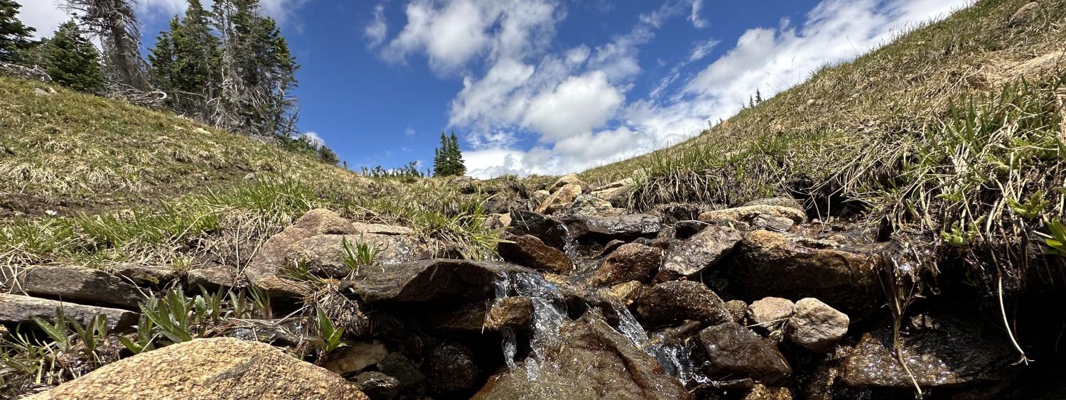 Water trickles over rocks, with steep tundra hills on either side. Niwot Ridge, Colorado. Photo: Scott Taylor