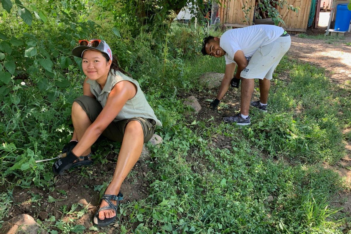 2 Students weeding