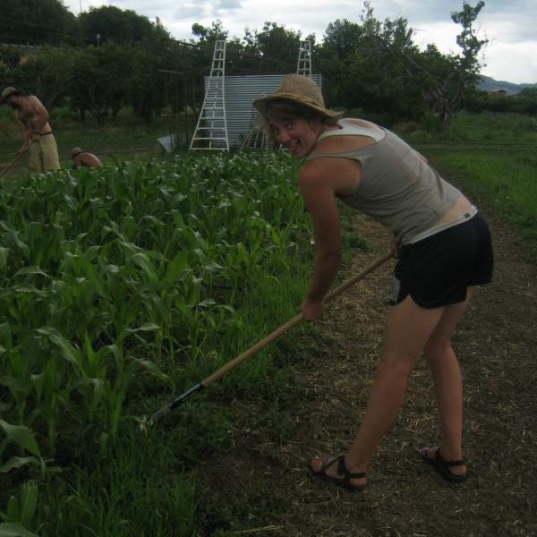 Student tends to crops with a hoe