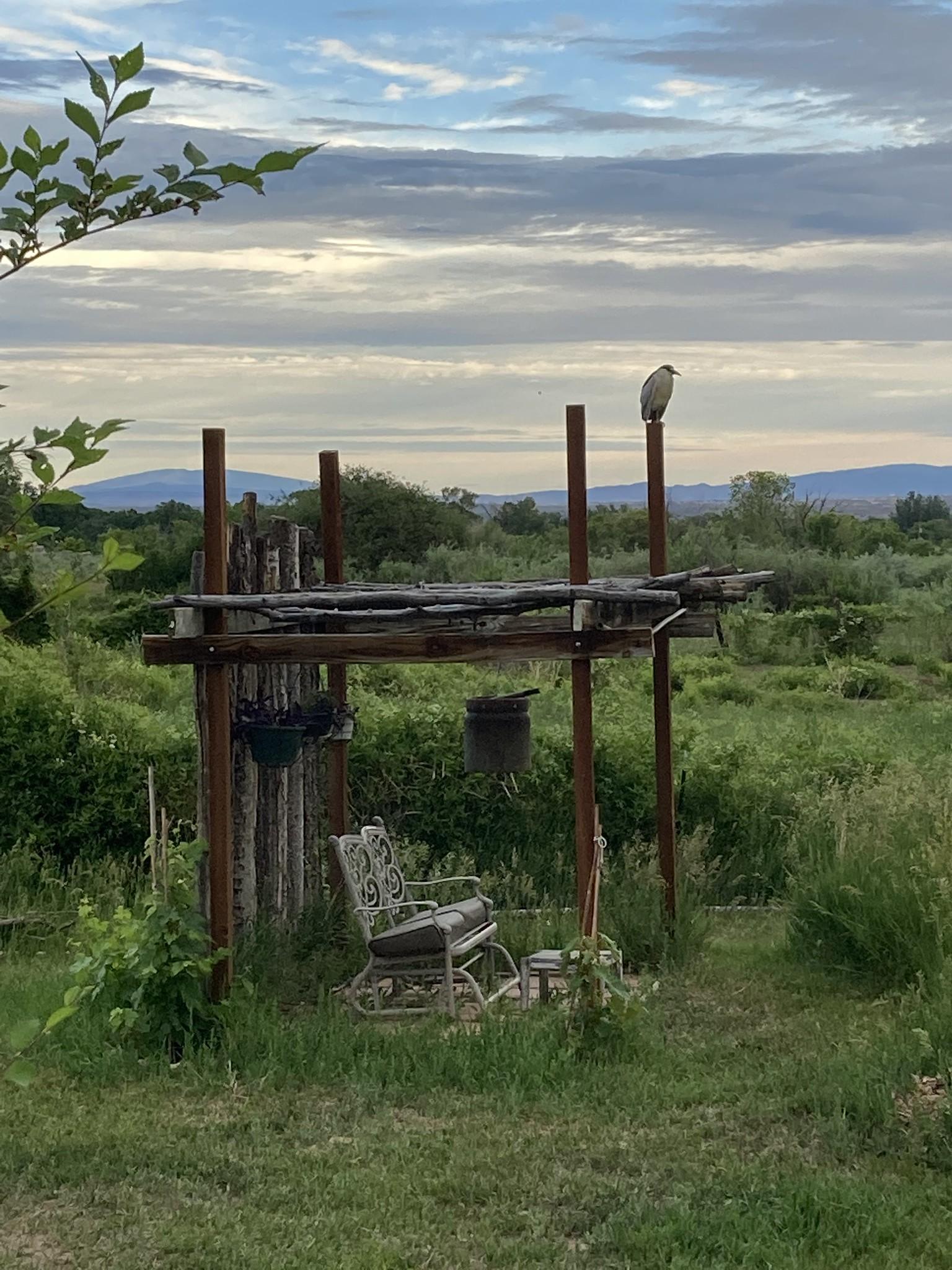 Rustic outside bench and pergola