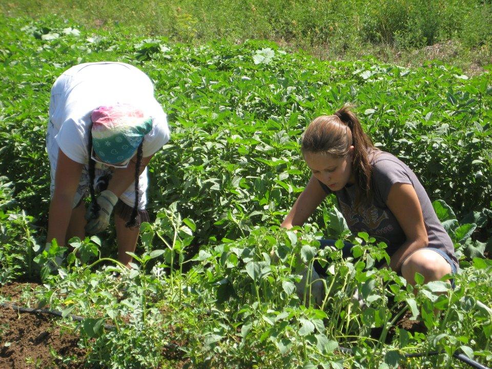 Summer Service-Learning Experiences