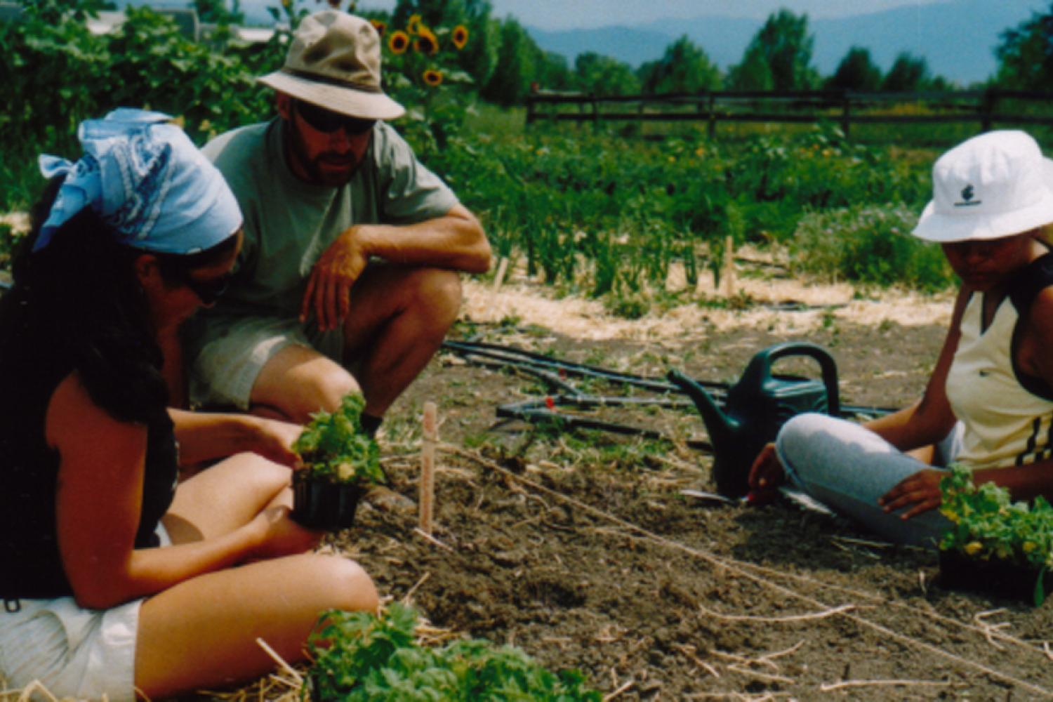 Planting at a community garden