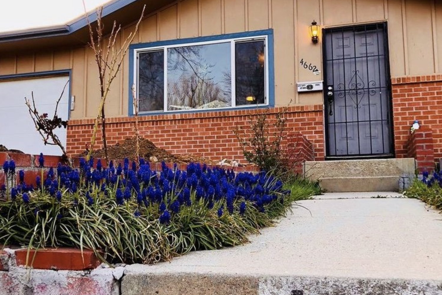 Front of house with purple flowers