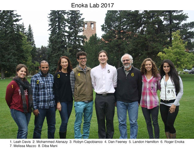 Enoka Lab 2017