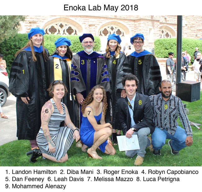 Enoka Lab 2018