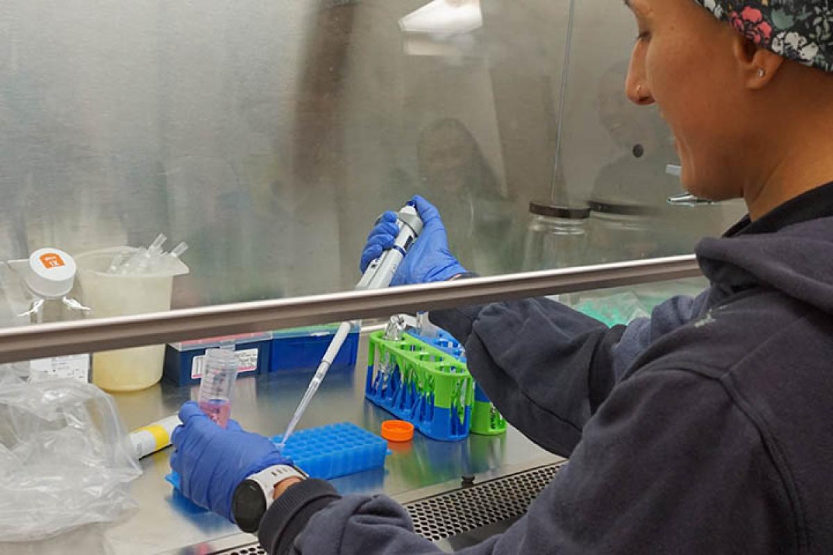 student pipetting
