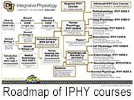 IPHY roadmap thumbnail 2025 Apr