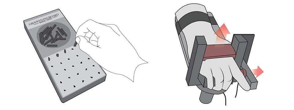 Dexterity (pegboard test) depends on the ability to control the forces produced by hand muscles