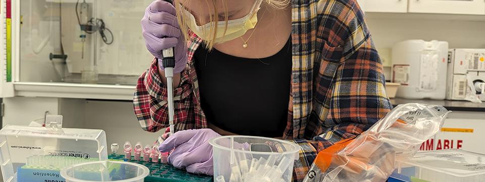 Pippa Zolla, Junior Neuroscience/Psychology undergraduate, extracting purified liver RNA in Dr. Christopher Lowry's Behavioral Neuroendocrinology lab