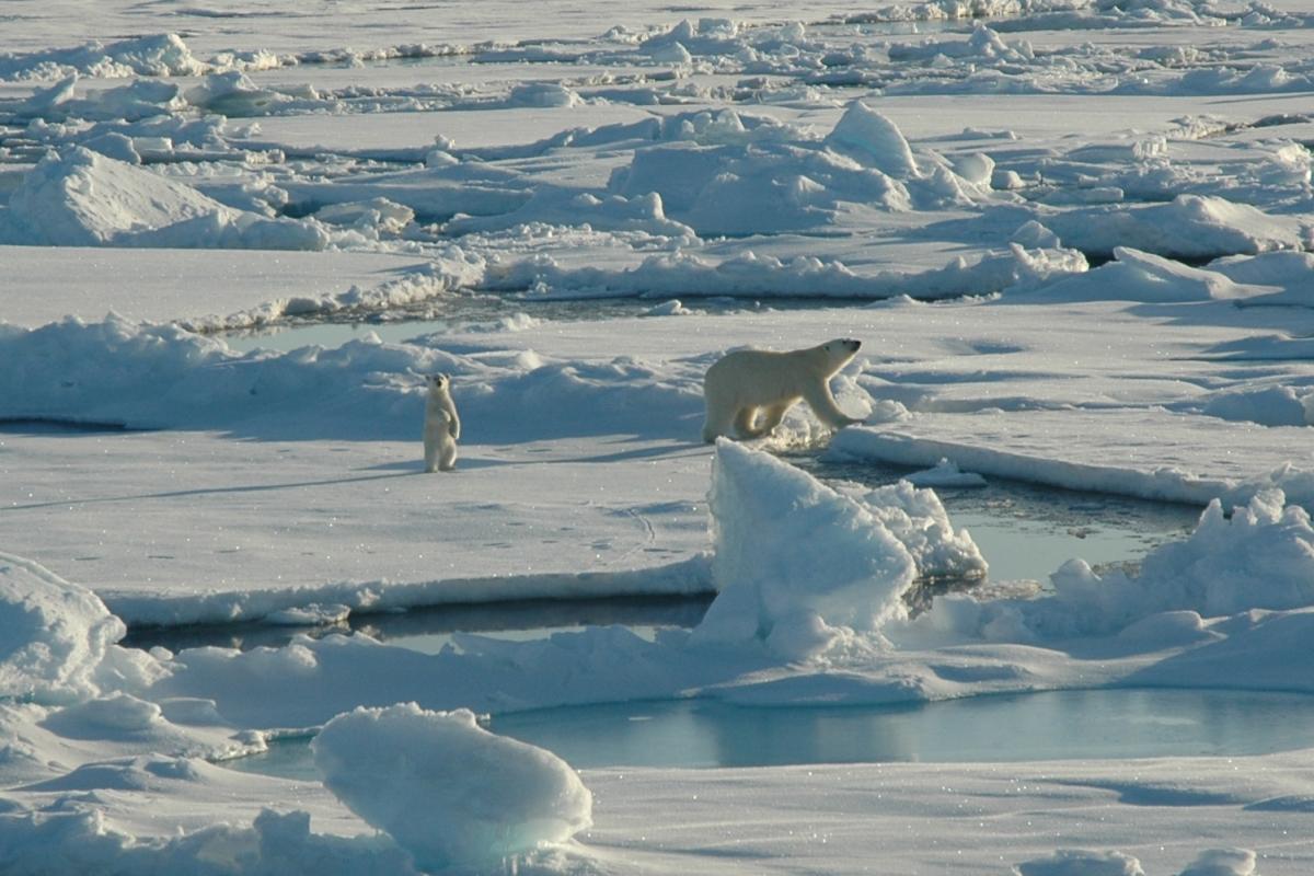Photo by Kelley Elliott, NOAA