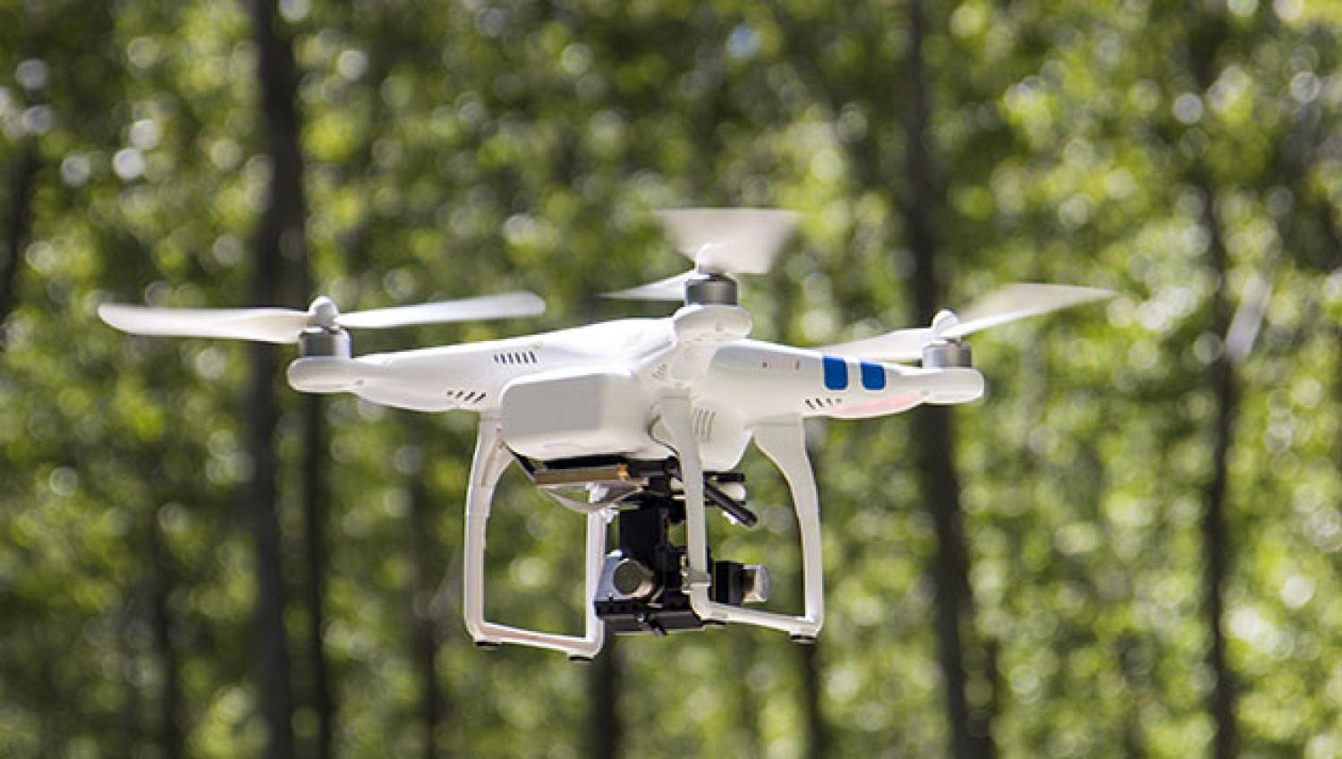 A drone in the woods