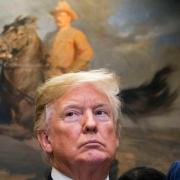 Donald Trump in front of a painting 