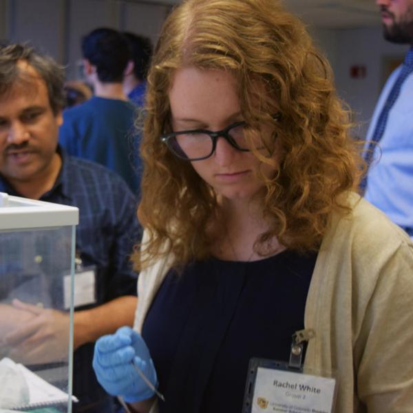 A student looking at work during the session