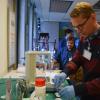 A student working in the lab
