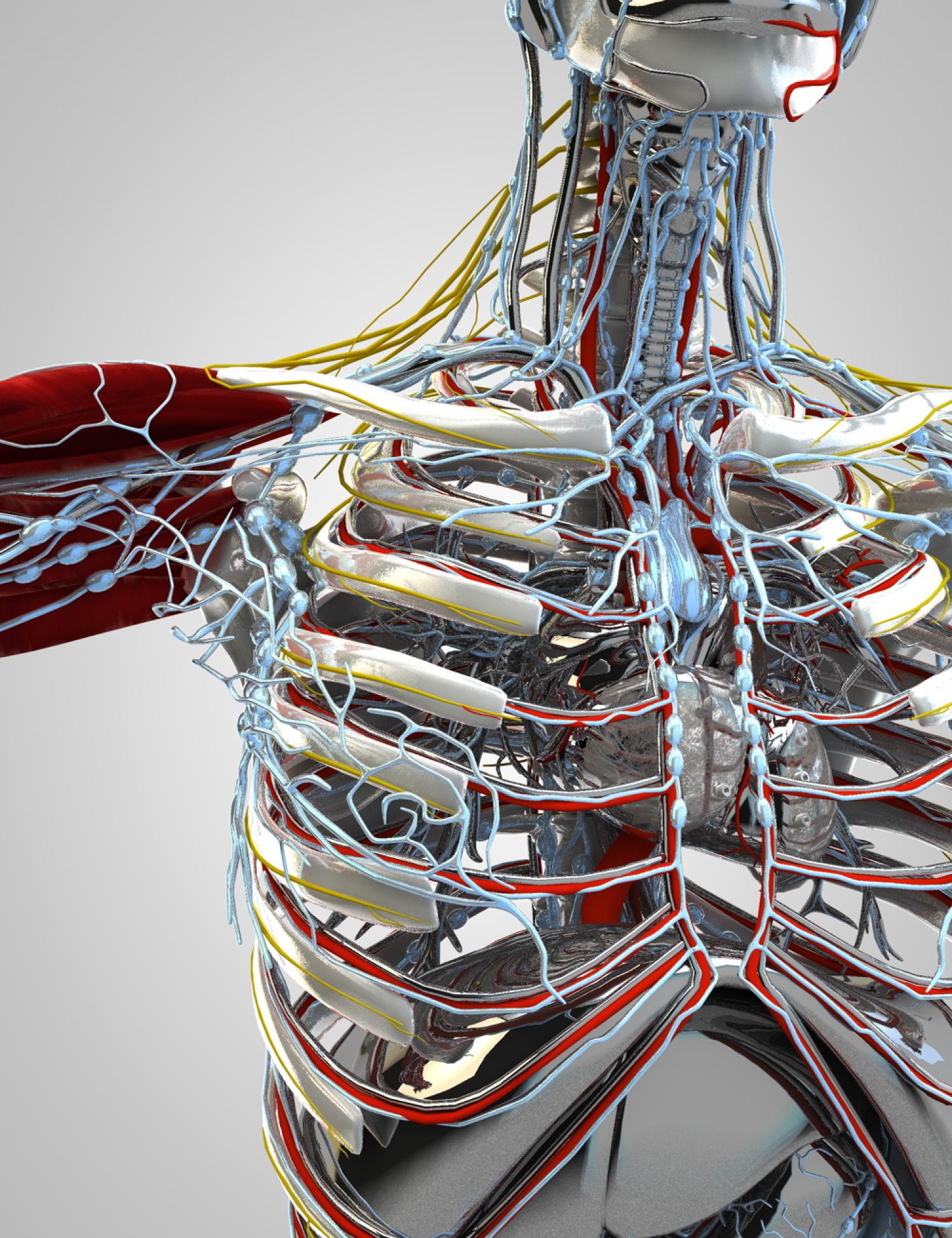 Illustration of a robot made from "robotic materials"