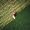 A farmer's tractor plowing a field 