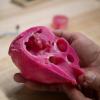 A model of a heart