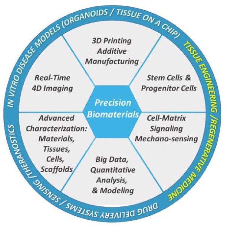 A pi chart showing different subjects within precision biomaterials