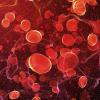 Artist representation of blood cells