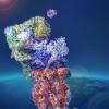 An artist rendering of a cell