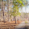 Land near Tuskegee 