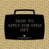 How to Apply for STEM OPT graphic