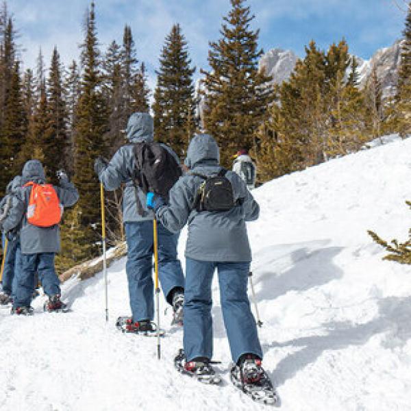 Photo of people snow shoeing in a snowy forest