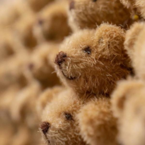 Photo of Teddy Bears