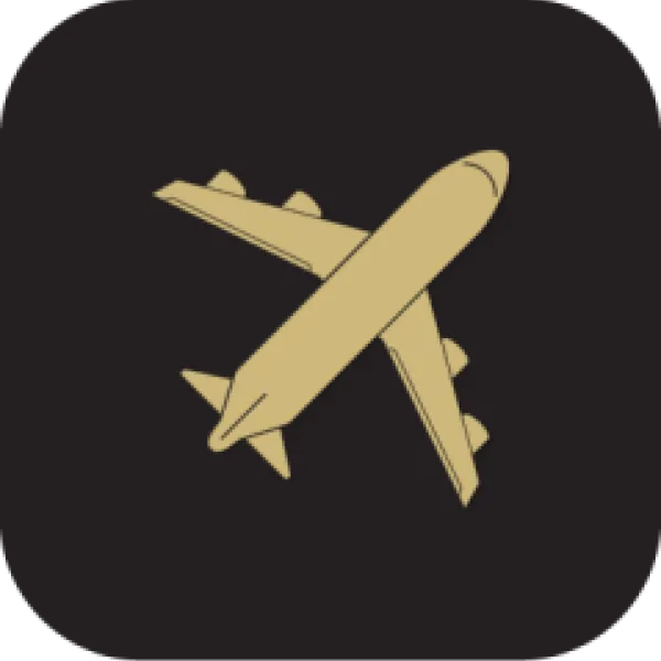 Graphic of an airplane