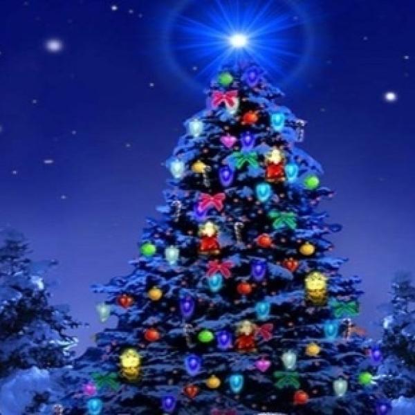 Decorated tree outside under the stars
