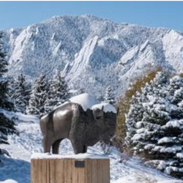 Ralphie statue covered in snow with snowy Flatiron Mountains in the background