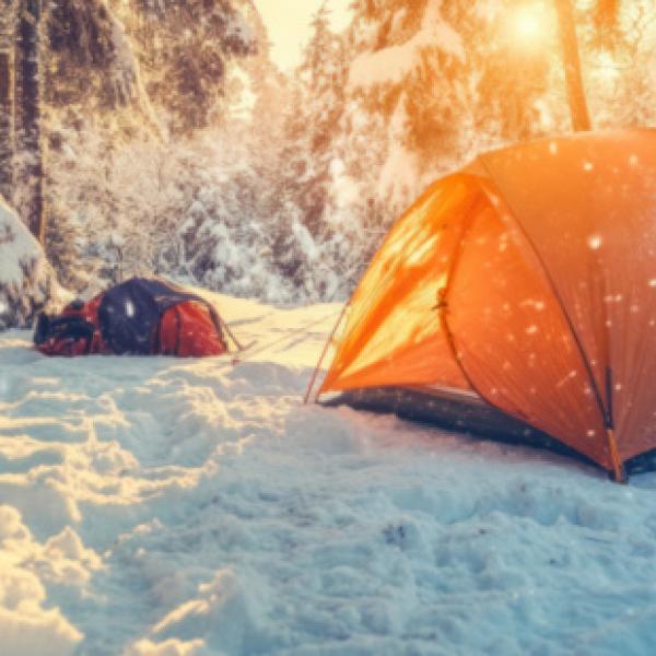 Tent pitched on snowy ground with snow covered pine tress in the background