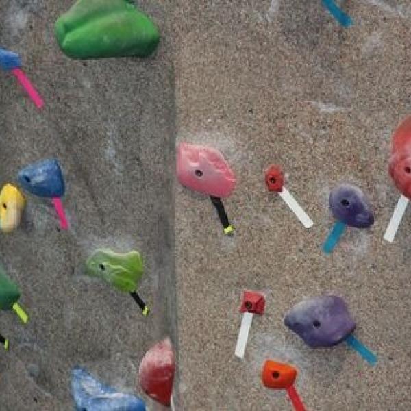 Colorful climbing holds on a climbing wall
