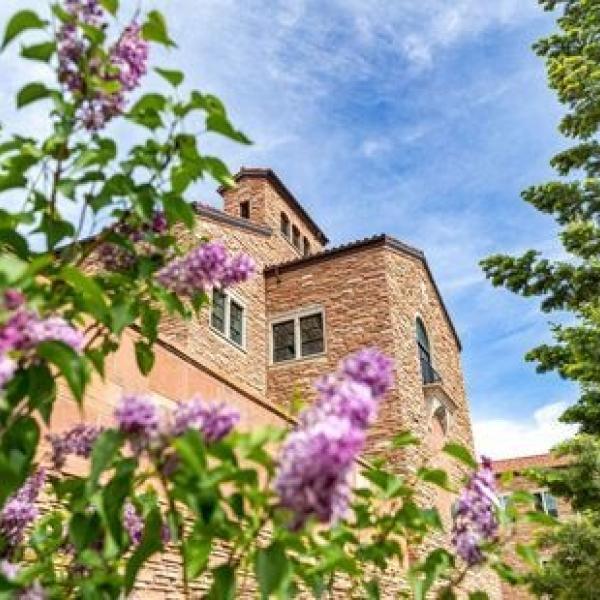 Flowers with campus building in the background