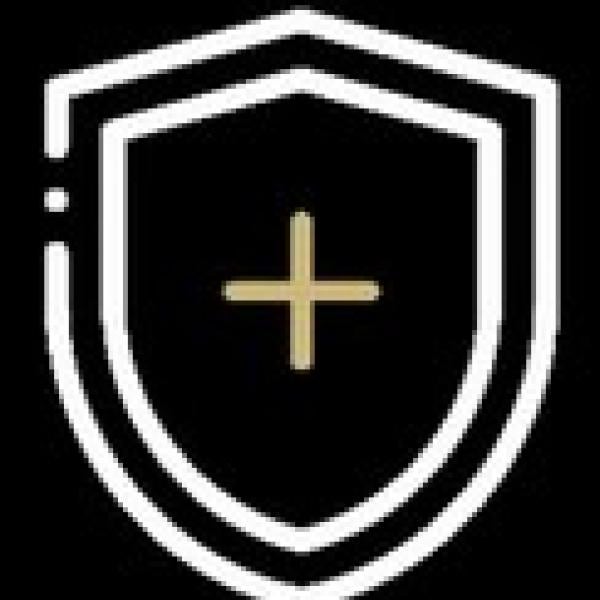 Shield with gold plus symbol graphic