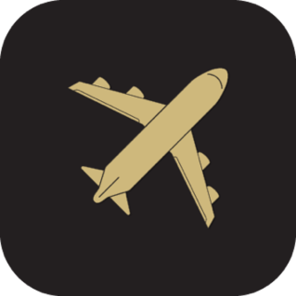 airplane icon