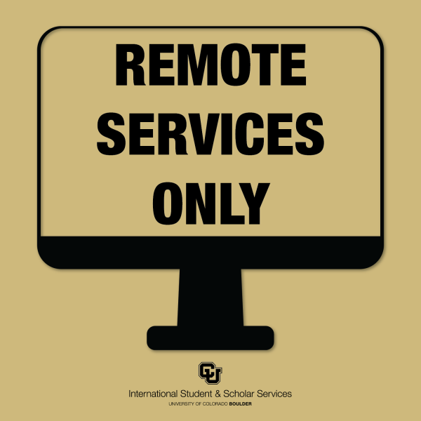 remote services only icon