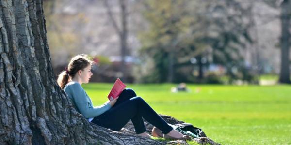 Student reading under a tree