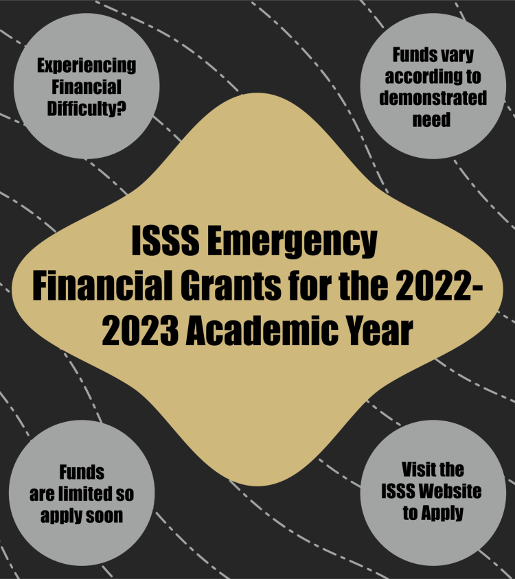 emergency grant poster