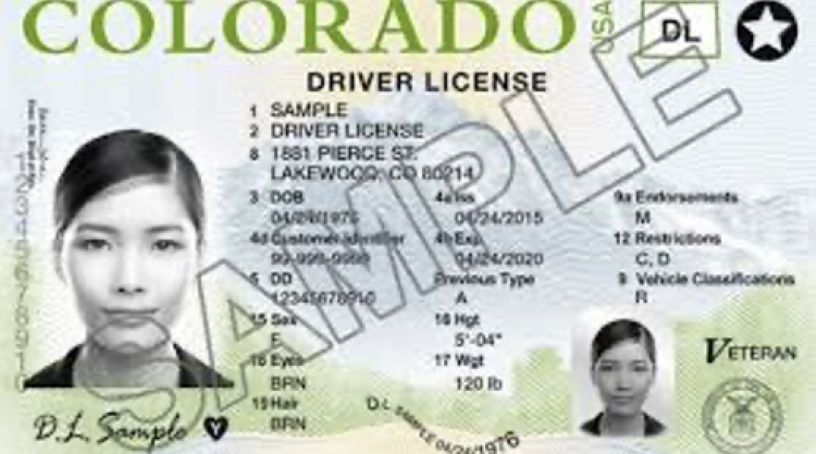 drivers license