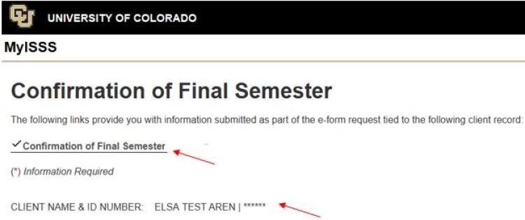 Screenshot of second approver e-form