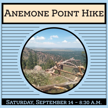 anemone hike flyer