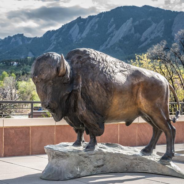 Buffalo Statue
